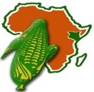 Kitui Flour Mills